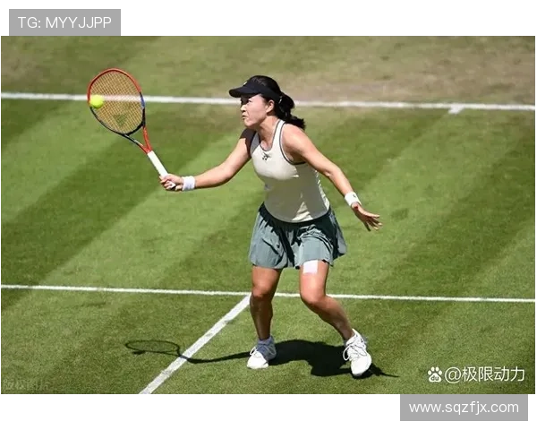 网球赛季回顾：全球顶尖球员激战正酣 新兴力量崭露头角