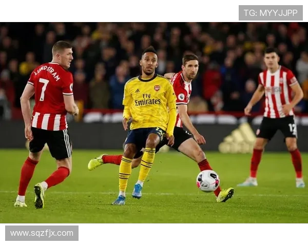 谢菲尔德星期三俱乐部最新动态：新赛季目标与球队阵容调整分析